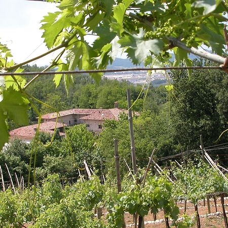 Agriturismo Ca' Verde SantʼAmbrogio di Valpolicella Екстериор снимка
