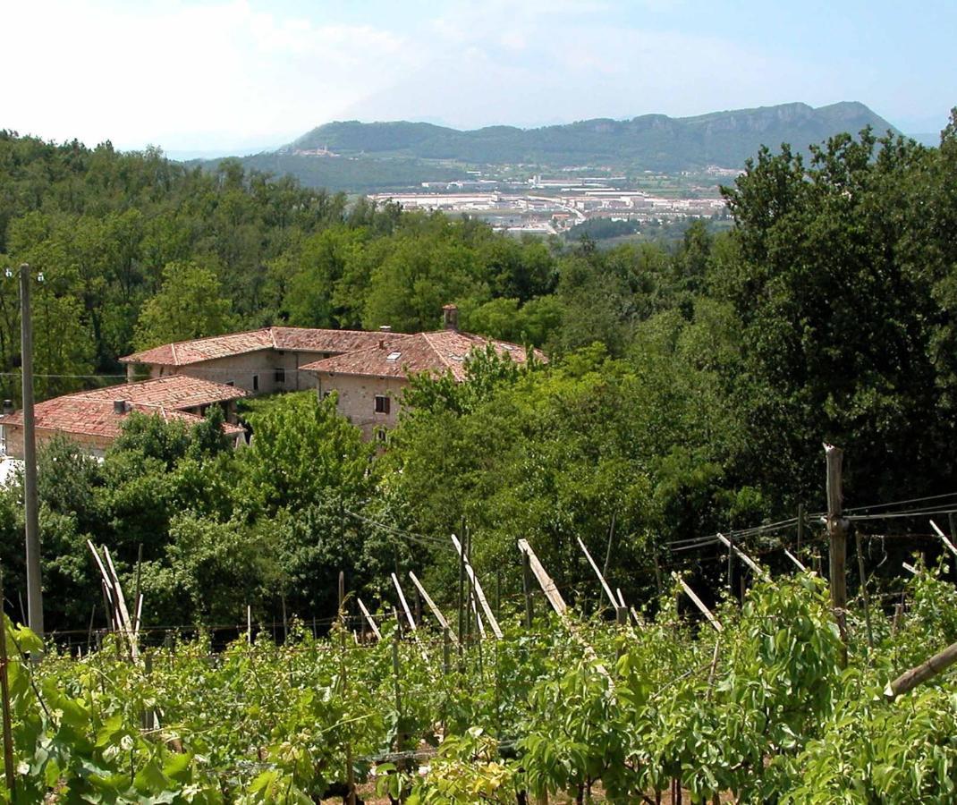 Agriturismo Ca' Verde SantʼAmbrogio di Valpolicella Екстериор снимка