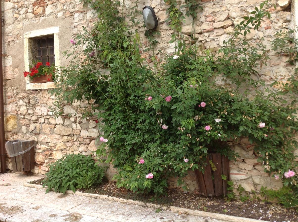 Agriturismo Ca' Verde SantʼAmbrogio di Valpolicella Екстериор снимка