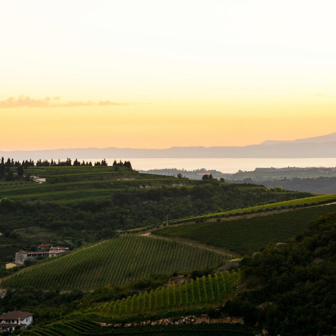 Agriturismo Ca' Verde SantʼAmbrogio di Valpolicella Екстериор снимка