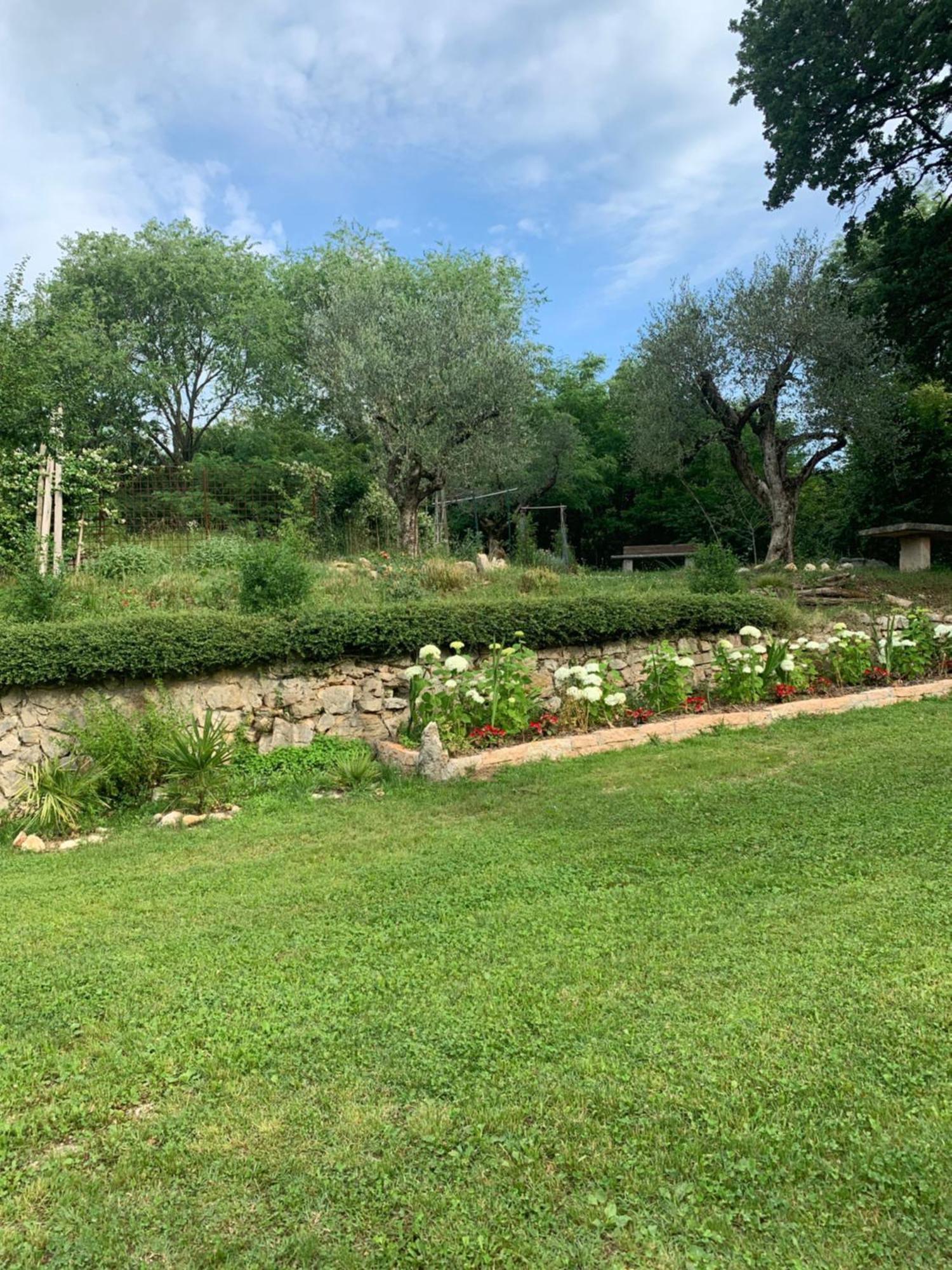 Agriturismo Ca' Verde SantʼAmbrogio di Valpolicella Екстериор снимка