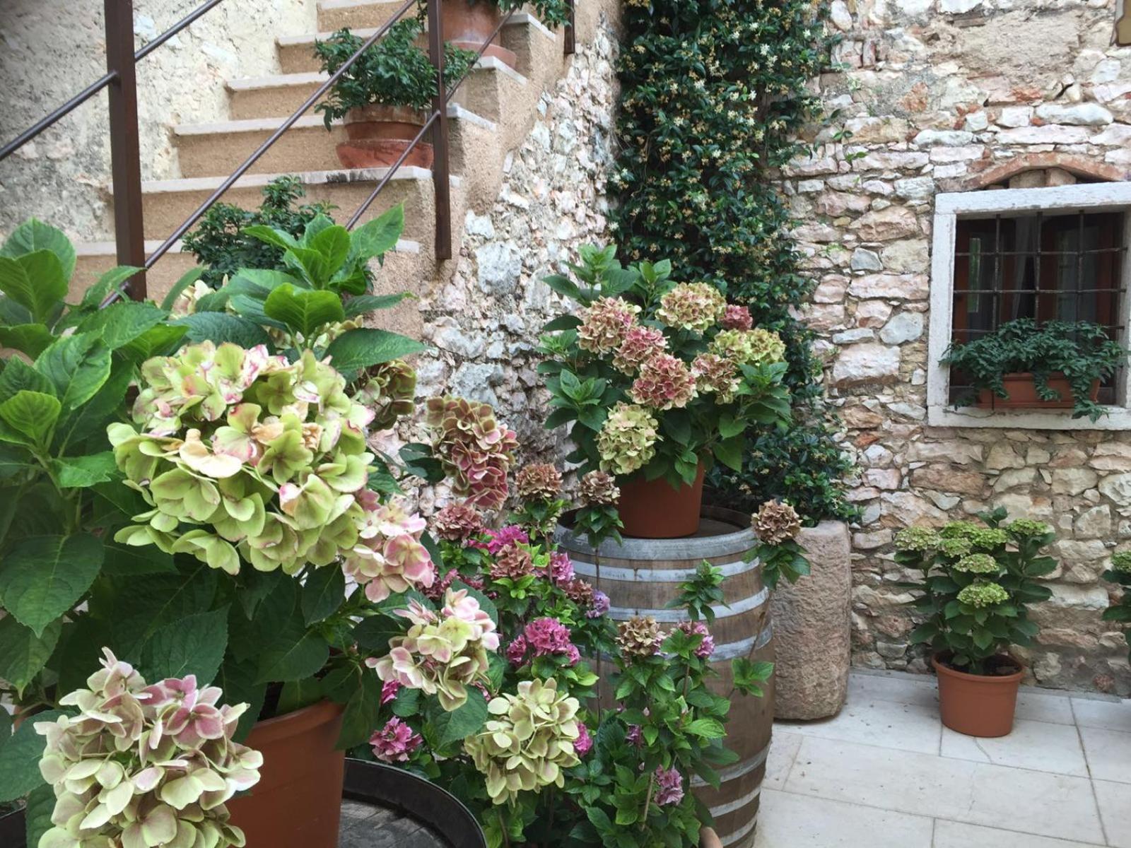 Agriturismo Ca' Verde SantʼAmbrogio di Valpolicella Екстериор снимка
