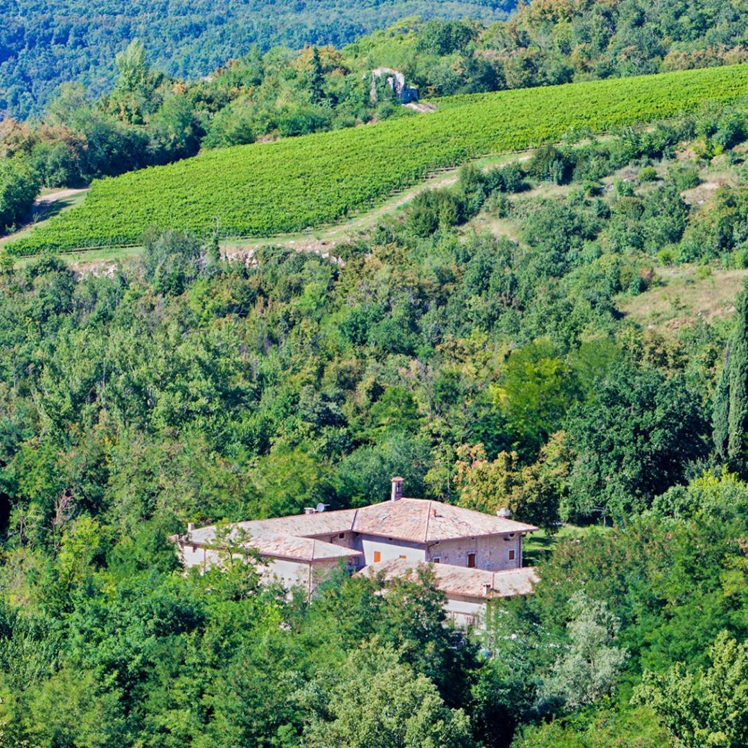 Agriturismo Ca' Verde SantʼAmbrogio di Valpolicella Екстериор снимка